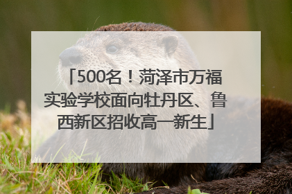 500名！菏泽市万福实验学校面向牡丹区、鲁西新区招收高一新生