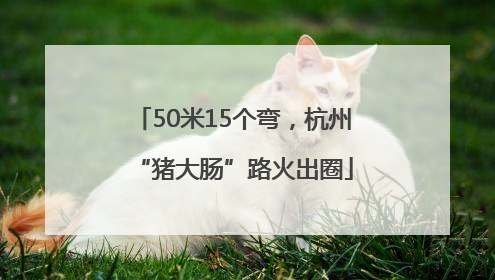 50米15个弯，杭州“猪大肠”路火出圈