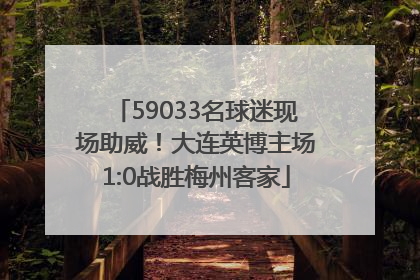 59033名球迷现场助威！大连英博主场1:0战胜梅州客家