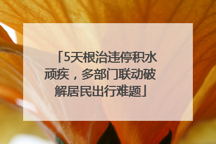 5天根治违停积水顽疾，多部门联动破解居民出行难题