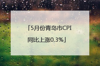 5月份青岛市CPI同比上涨0.3%