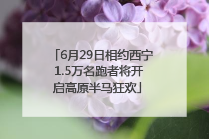 6月29日相约西宁 1.5万名跑者将开启高原半马狂欢