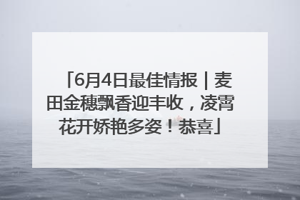 6月4日最佳情报｜麦田金穗飘香迎丰收，凌霄花开娇艳多姿！恭喜