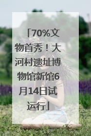 70%文物首秀！大河村遗址博物馆新馆6月14日试运行
