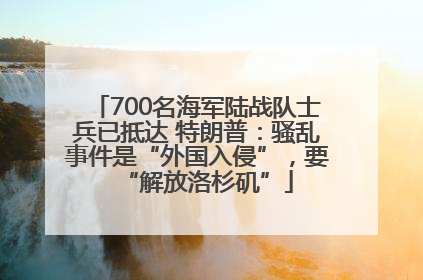 700名海军陆战队士兵已抵达 特朗普：骚乱事件是“外国入侵”，要“解放洛杉矶”
