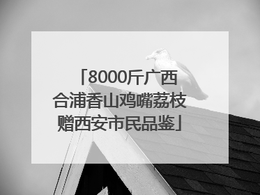 8000斤广西合浦香山鸡嘴荔枝赠西安市民品鉴