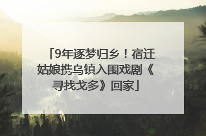 9年逐梦归乡！宿迁姑娘携乌镇入围戏剧《寻找戈多》回家