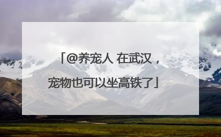 @养宠人 在武汉，宠物也可以坐高铁了