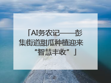 AI务农记——彭集街道甜瓜种植迎来“智慧丰收”