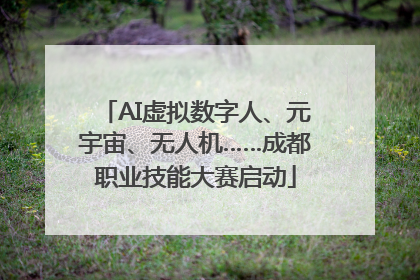 AI虚拟数字人、元宇宙、无人机……成都职业技能大赛启动