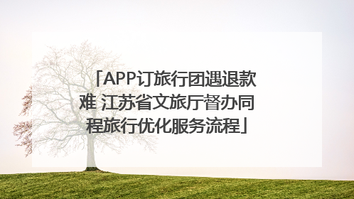 APP订旅行团遇退款难 江苏省文旅厅督办同程旅行优化服务流程