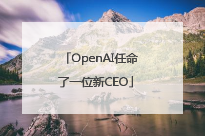 OpenAI任命了一位新CEO